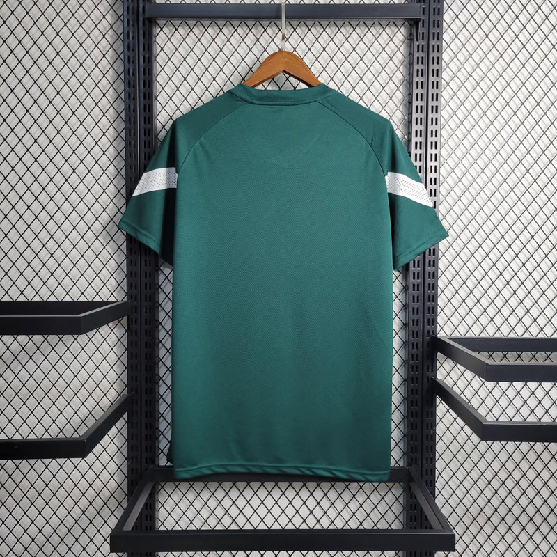 Camisa Palmeiras - 23/24 - Versão Torcedor - Personalizável